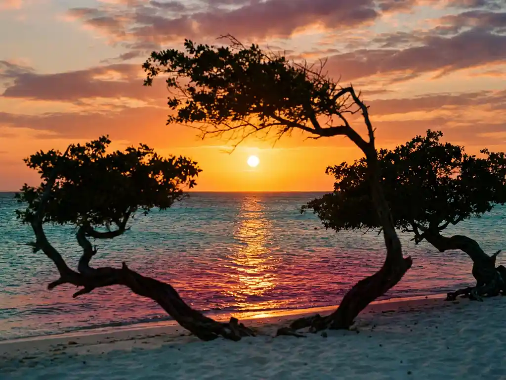 Orange sunset over turquoise waters at Eagle Beach Aruba with silhouetted divi-divi trees and golden reflections on calm sea